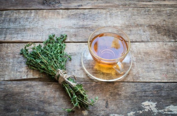 Foto - Dağlardan gelen şifa! Suyunu içmeyen pişman olur