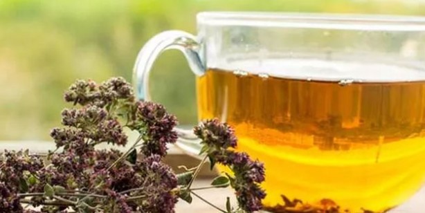 Dağlardan gelen şifa! Suyunu içmeyen pişman olur