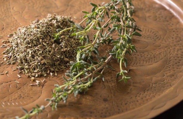 Foto - Dağlardan gelen şifa! Suyunu içmeyen pişman olur