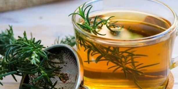 Foto - Dağlardan gelen şifa! Suyunu içmeyen pişman olur