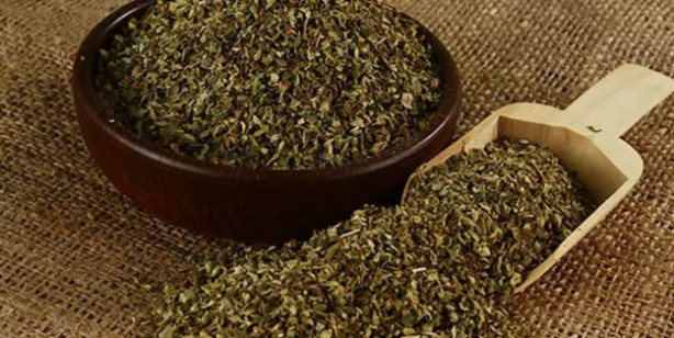 Foto - Dağlardan gelen şifa! Suyunu içmeyen pişman olur