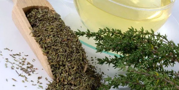 Foto - Dağlardan gelen şifa! Suyunu içmeyen pişman olur