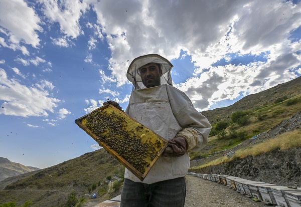 Foto - Dağlardan sofraları ulaşan lezzet: Karakovan balı