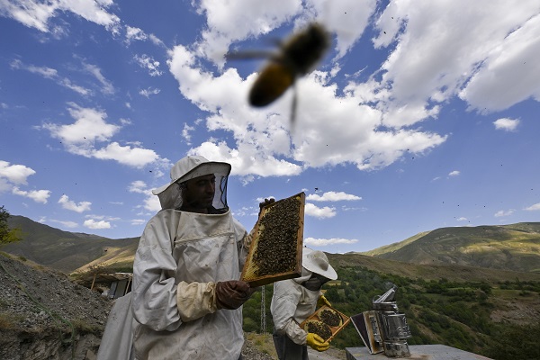 Foto - Dağlardan sofraları ulaşan lezzet: Karakovan balı