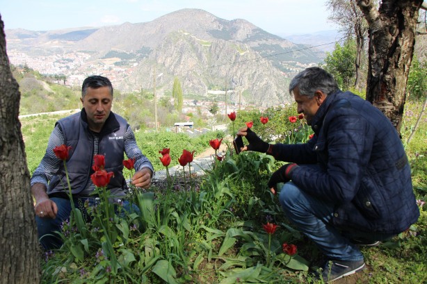 Foto - Dağları dolaşıp onu arıyorlar! Herkes izini sürüyor, bulan tarihe geçecek
