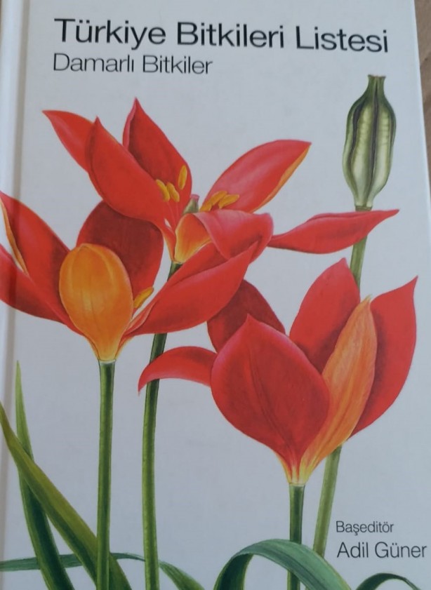 Foto - Dağları dolaşıp onu arıyorlar! Herkes izini sürüyor, bulan tarihe geçecek