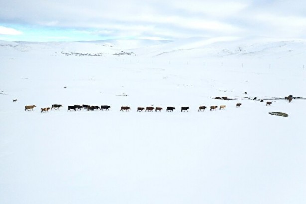 Foto - Dağların arasında ilginç görüntü! Türkiye'de görenler şaştı kaldı