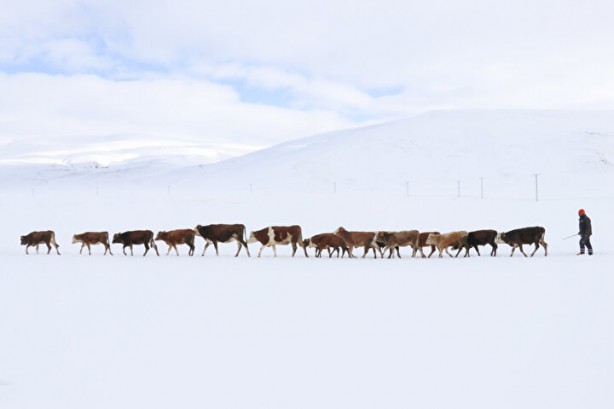 Foto - Dağların arasında ilginç görüntü! Türkiye'de görenler şaştı kaldı