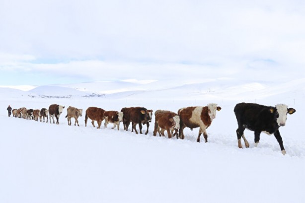 Foto - Dağların arasında ilginç görüntü! Türkiye'de görenler şaştı kaldı