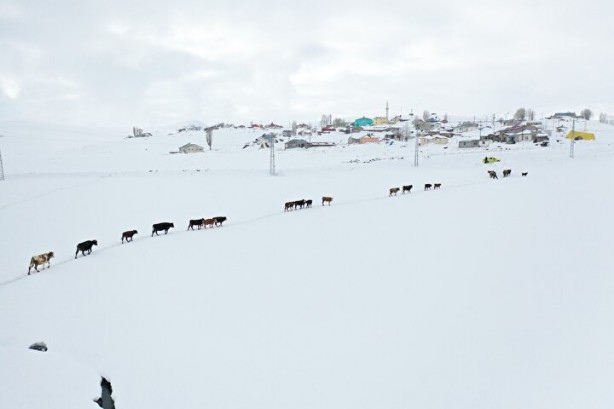Foto - Dağların arasında ilginç görüntü! Türkiye'de görenler şaştı kaldı