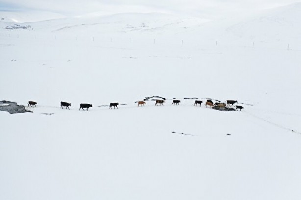 Foto - Dağların arasında ilginç görüntü! Türkiye'de görenler şaştı kaldı