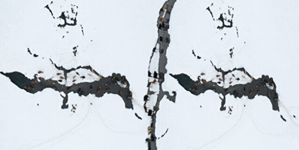 Dağların arasında ilginç görüntü! Türkiye'de görenler şaştı kaldı