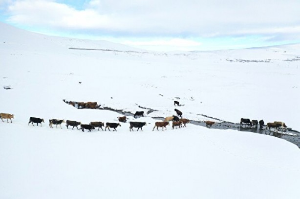 Foto - Dağların arasında ilginç görüntü! Türkiye'de görenler şaştı kaldı