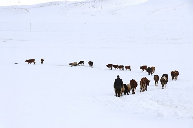Foto - Dağların arasında ilginç görüntü! Türkiye'de görenler şaştı kaldı