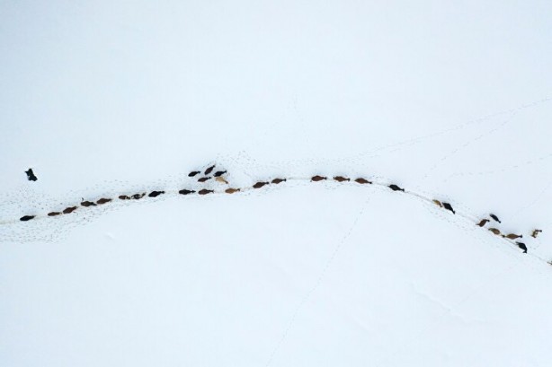 Foto - Dağların arasında ilginç görüntü! Türkiye'de görenler şaştı kaldı