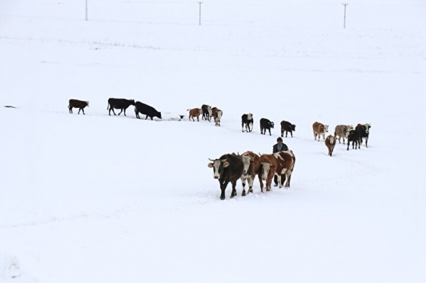 Foto - Dağların arasında ilginç görüntü! Türkiye'de görenler şaştı kaldı