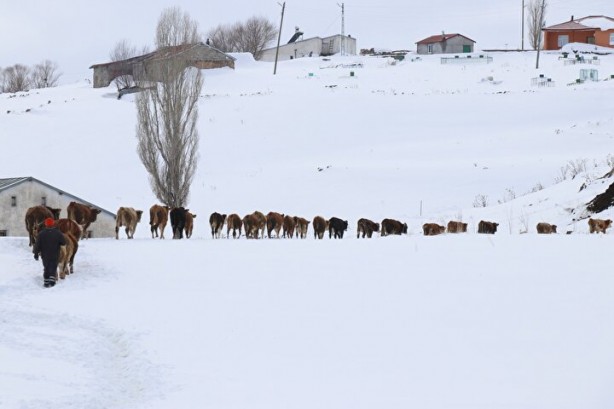 Foto - Dağların arasında ilginç görüntü! Türkiye'de görenler şaştı kaldı