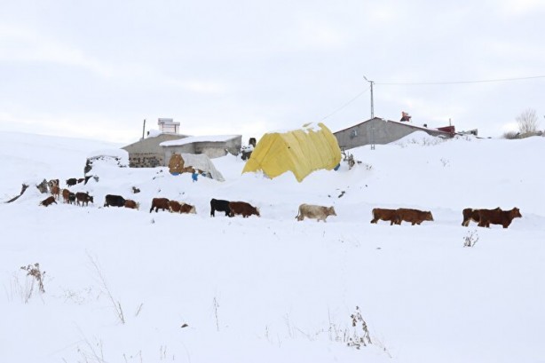 Foto - Dağların arasında ilginç görüntü! Türkiye'de görenler şaştı kaldı
