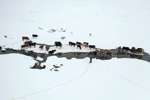 Foto - Dağların arasında ilginç görüntü! Türkiye'de görenler şaştı kaldı
