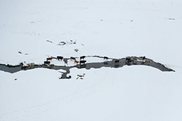 Foto - Dağların arasında ilginç görüntü! Türkiye'de görenler şaştı kaldı