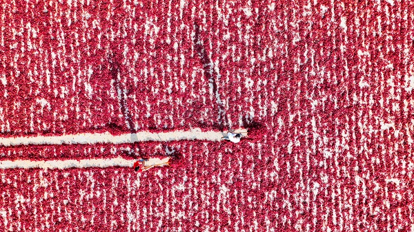 Foto - Daha dikkatli bakın! Sanat eseri değil biber