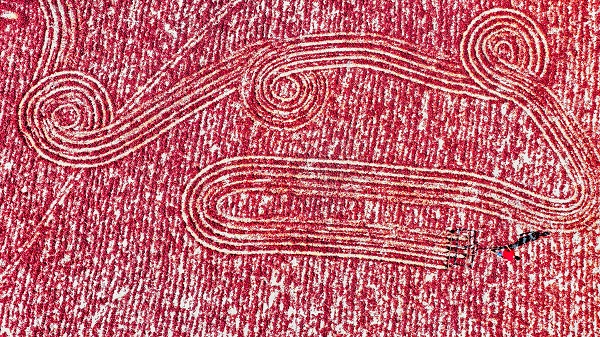 Daha dikkatli bakın! Sanat eseri değil biber