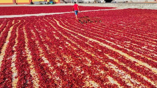 Foto - Daha dikkatli bakın! Sanat eseri değil biber