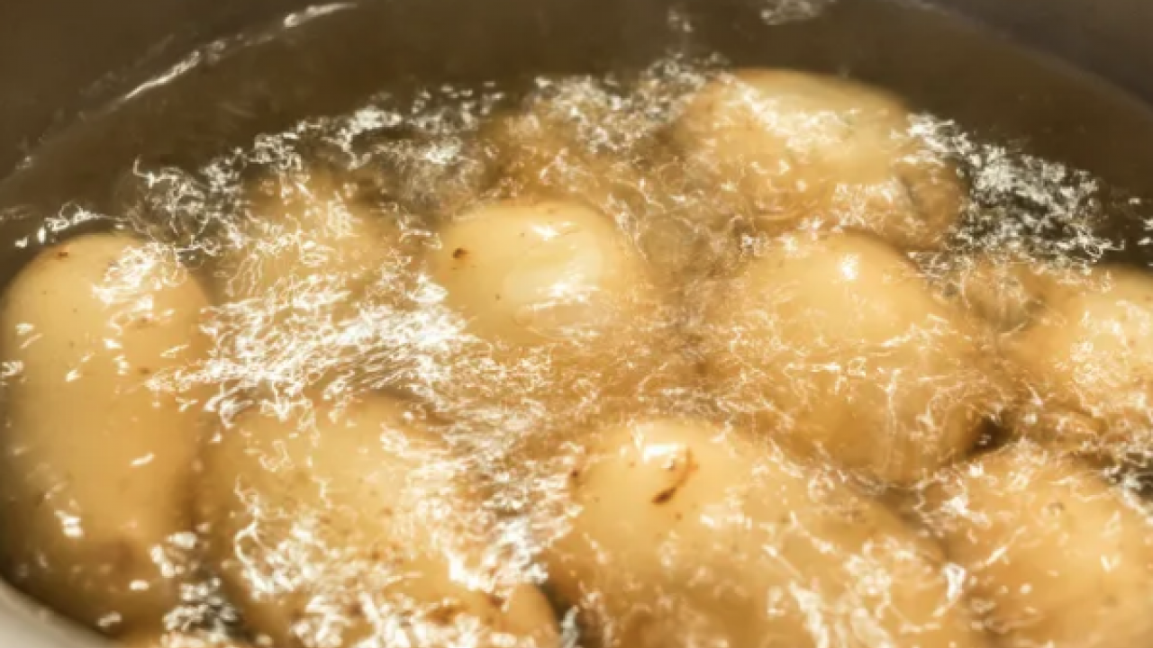 Daha diri olması için... Patates haşlarken yapılan bu hata tüm lezzeti bozuyor!