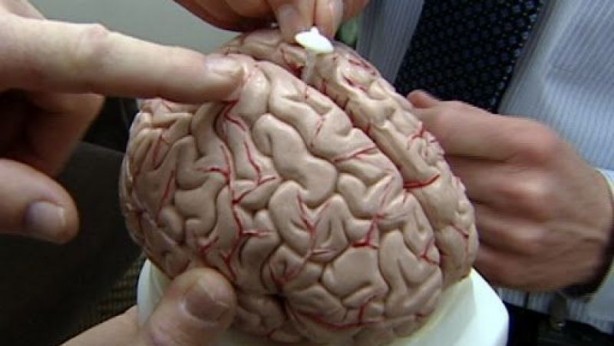 Daha iyi bir beyin sağlığı için 7 yöntem