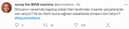 Foto - Daha kaç çocuğun ölmesi gerekiyor bu sorunun çözülmesi için! Köpek tehlikesi kaosa sürüklüyor!