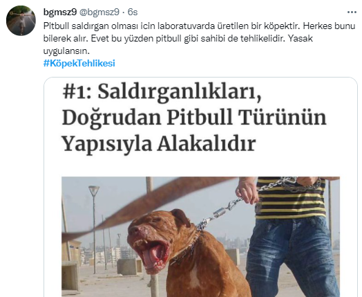 Foto - Daha kaç çocuğun ölmesi gerekiyor bu sorunun çözülmesi için! Köpek tehlikesi kaosa sürüklüyor!