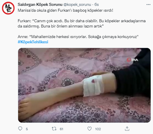 Foto - Daha kaç çocuğun ölmesi gerekiyor bu sorunun çözülmesi için! Köpek tehlikesi kaosa sürüklüyor!