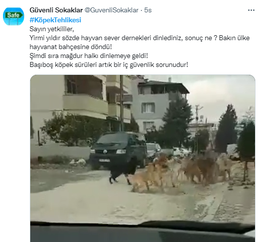 Foto - Daha kaç çocuğun ölmesi gerekiyor bu sorunun çözülmesi için! Köpek tehlikesi kaosa sürüklüyor!