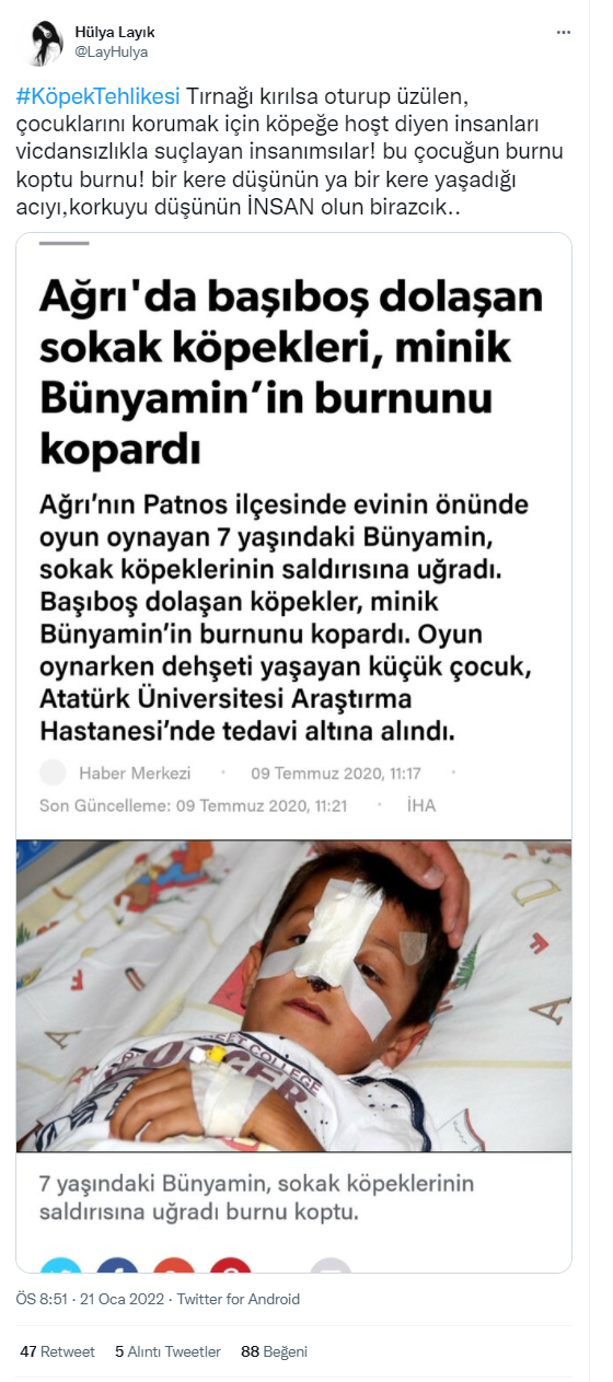 Foto - Daha kaç çocuğun ölmesi gerekiyor bu sorunun çözülmesi için! Köpek tehlikesi kaosa sürüklüyor!