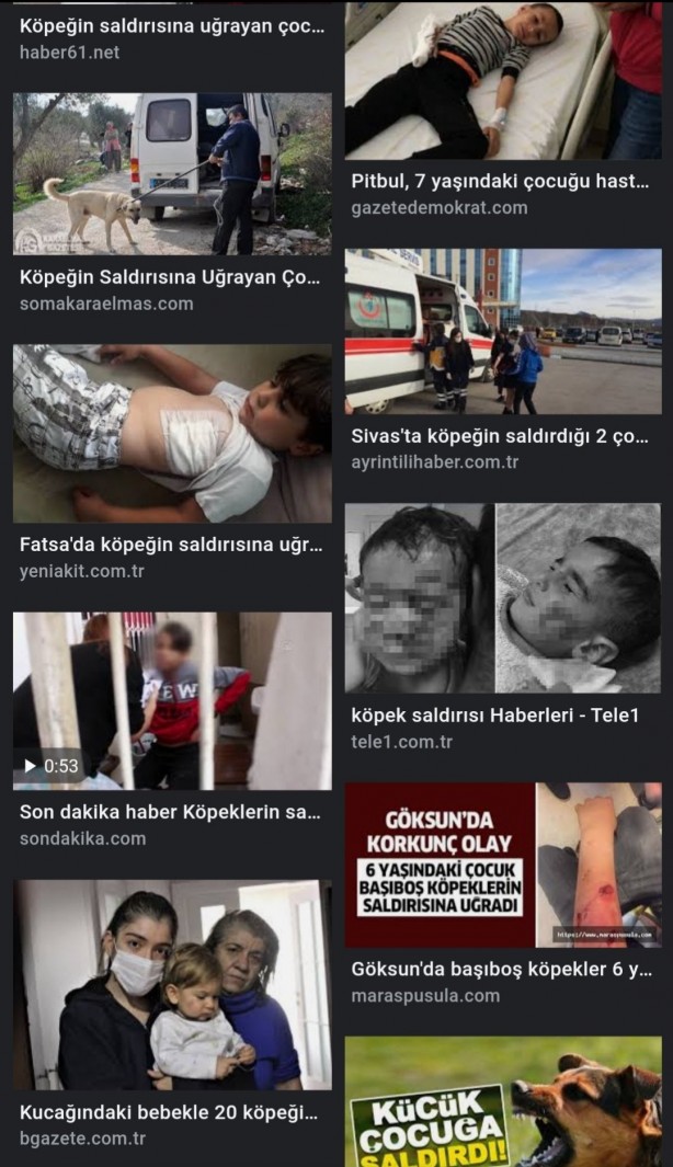 Foto - Daha kaç çocuğun ölmesi gerekiyor bu sorunun çözülmesi için! Köpek tehlikesi kaosa sürüklüyor!