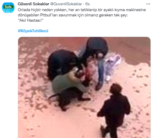 Foto - Daha kaç çocuğun ölmesi gerekiyor bu sorunun çözülmesi için! Köpek tehlikesi kaosa sürüklüyor!