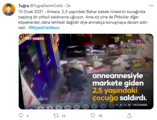 Foto - Daha kaç çocuğun ölmesi gerekiyor bu sorunun çözülmesi için! Köpek tehlikesi kaosa sürüklüyor!