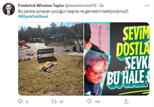 Foto - Daha kaç çocuğun ölmesi gerekiyor bu sorunun çözülmesi için! Köpek tehlikesi kaosa sürüklüyor!