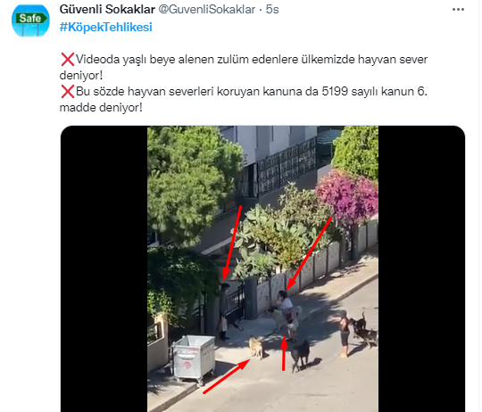 Foto - Daha kaç çocuğun ölmesi gerekiyor bu sorunun çözülmesi için! Köpek tehlikesi kaosa sürüklüyor!