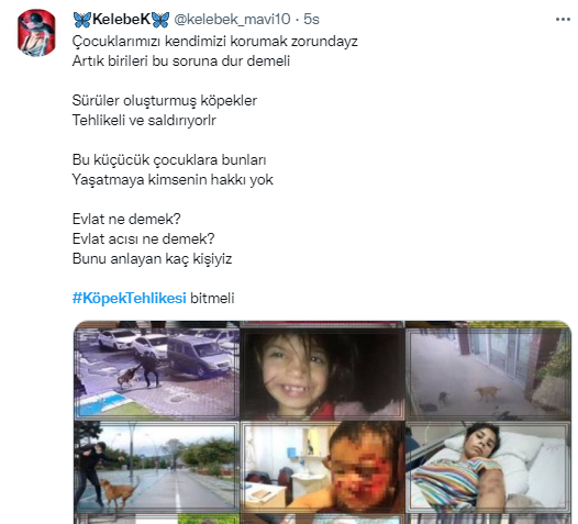 Foto - Daha kaç çocuğun ölmesi gerekiyor bu sorunun çözülmesi için! Köpek tehlikesi kaosa sürüklüyor!