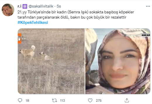 Foto - Daha kaç çocuğun ölmesi gerekiyor bu sorunun çözülmesi için! Köpek tehlikesi kaosa sürüklüyor!