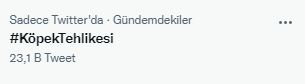 Foto - Daha kaç çocuğun ölmesi gerekiyor bu sorunun çözülmesi için! Köpek tehlikesi kaosa sürüklüyor!