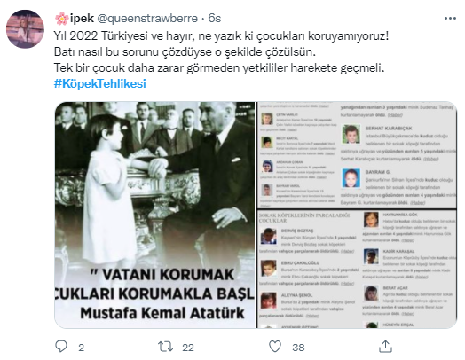 Foto - Daha kaç çocuğun ölmesi gerekiyor bu sorunun çözülmesi için! Köpek tehlikesi kaosa sürüklüyor!
