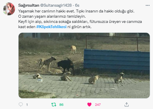 Foto - Daha kaç çocuğun ölmesi gerekiyor bu sorunun çözülmesi için! Köpek tehlikesi kaosa sürüklüyor!
