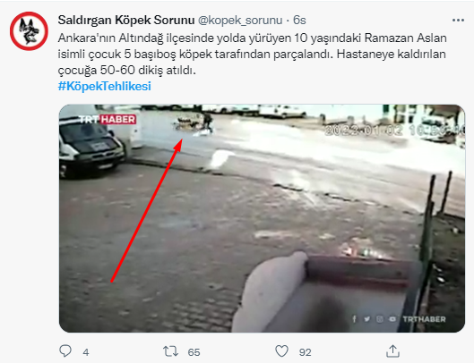 Foto - Daha kaç çocuğun ölmesi gerekiyor bu sorunun çözülmesi için! Köpek tehlikesi kaosa sürüklüyor!