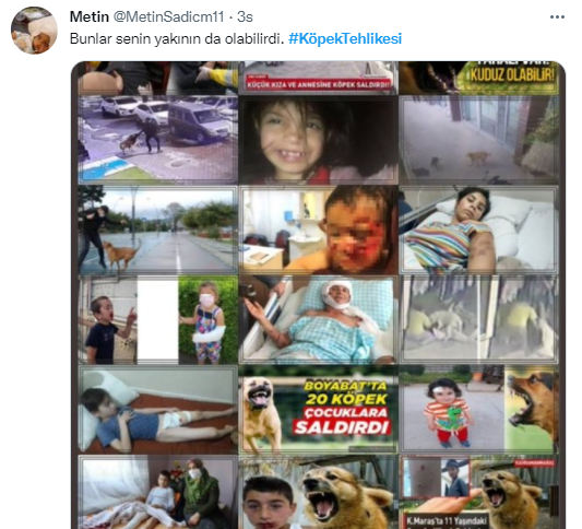Foto - Daha kaç çocuğun ölmesi gerekiyor bu sorunun çözülmesi için! Köpek tehlikesi kaosa sürüklüyor!