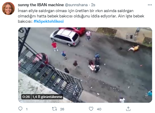Foto - Daha kaç çocuğun ölmesi gerekiyor bu sorunun çözülmesi için! Köpek tehlikesi kaosa sürüklüyor!