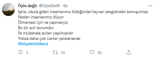 Foto - Daha kaç çocuğun ölmesi gerekiyor bu sorunun çözülmesi için! Köpek tehlikesi kaosa sürüklüyor!