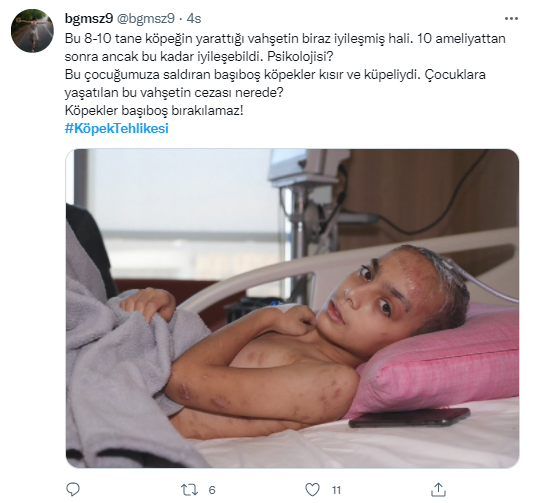 Foto - Daha kaç çocuğun ölmesi gerekiyor bu sorunun çözülmesi için! Köpek tehlikesi kaosa sürüklüyor!