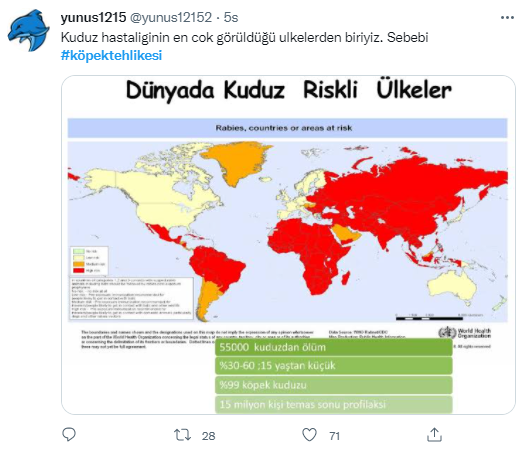 Foto - Daha kaç çocuğun ölmesi gerekiyor bu sorunun çözülmesi için! Köpek tehlikesi kaosa sürüklüyor!